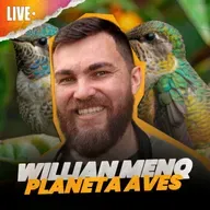 Comportamento e ecologia de aves com William Menq