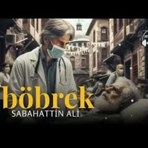 BÖBREK   Sabahattin Ali (Sesli Öykü)