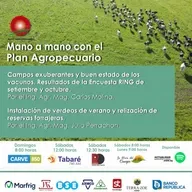 Campos exuberantes y buen estado de los vacunos. Instalación de verdeos de verano y realización de reservas forrajeras.