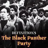 Definitions: is the Black Panther Party?