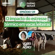 EP 129 | O impacto do estresse térmico em vacas leiteiras.