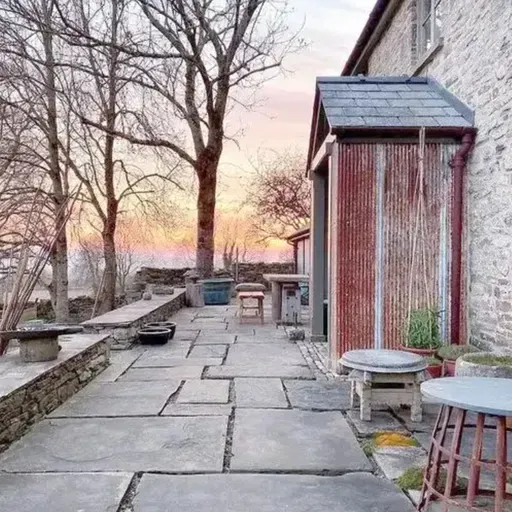 冯骥才：万年青