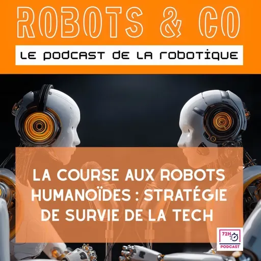La course aux robots humanoïdes : stratégie de survie de la tech