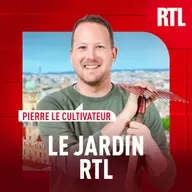 Comment regarnir son gazon facilement ?