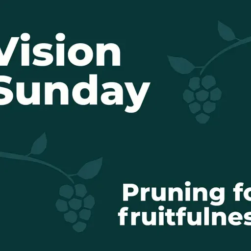 Vision Sunday