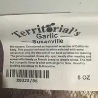 Garlic Planting Time is Here!