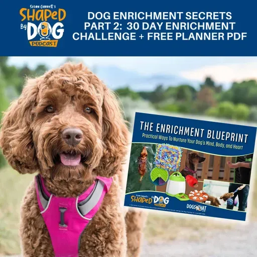 Dog Enrichment Secrets Part 2: 30 Day Enrichment Challenge + Free Planner PDF #315
