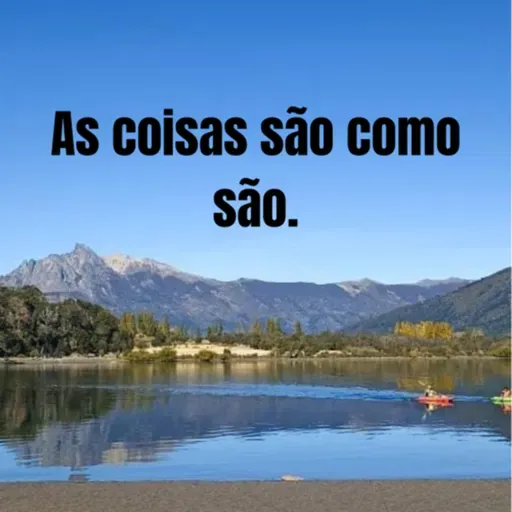 As coisas são como são.