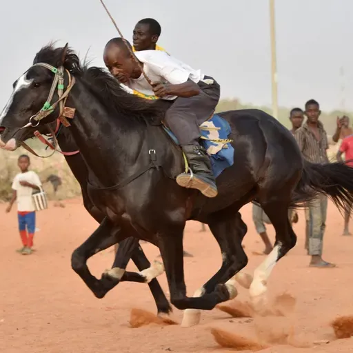La participation des jeunes au festival Dokin Iska de Filingué (Tous à la Fada)