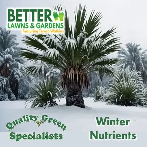 S2 Ep419: Better Lawns and Gardens - Hour 1 Winter Nutrients Jan 17 2026