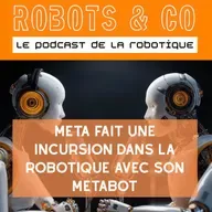 Meta fait une incursion dans la robotique avec son METABOT