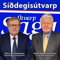 Pétur Gunnlaugsson, Haukur Hauksson & Ólafur Ragnar Grímsson