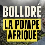 « Vincent Bolloré s’est fait de l’argent sur le dos des Africains »