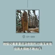 【第688期】404文库：“她惦记着家里还没收割的29亩玉米地，但雨大得她不敢出门”（外二篇）