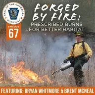 Ep. 67 | Forged by Fire: Prescribed Burns for Better Habitat