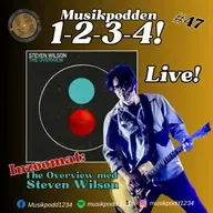 #47 - Inzoomat: The Overview med Steven Wilson