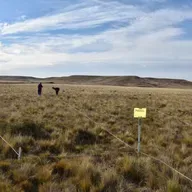 Alerta Patagonia: Gabriel Oliva revela claves contra la desertificación