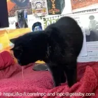 George v Fake George II