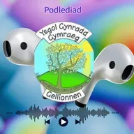 Ysgol Gynradd Gymraeg Gellionnen