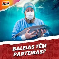Como é o NASCIMENTO de uma CACHALOTE?