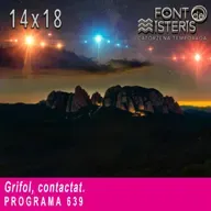 Grifol, contactat | Font de Misteris 14x18 (639)