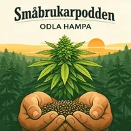 Odla hampa - vi ställer frågor och är nyfikna