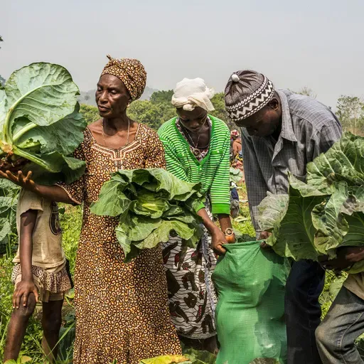 Ripoti mpya ya FAO/WFP yaonya muda unayoyoma kuzuia mamilioni kuingia kwenye njaa katika maeneo 16 hatarishi.