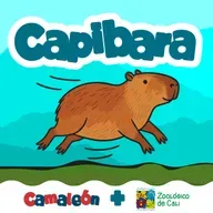 Capibaras: calma en los humedales