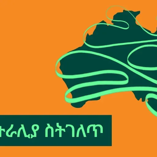 #100 More or less? Talking about quantities - #100 ይነስ ወይም ይብዛ? ስለ መጠን መናገር