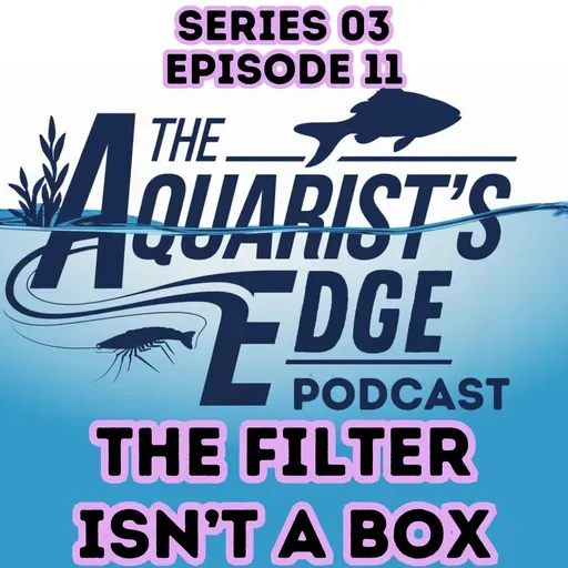 The Filter Isn’t a Box: How Flow, Oxygen & Biofilm Make (or Break) a Healthy Freshwater Aquarium