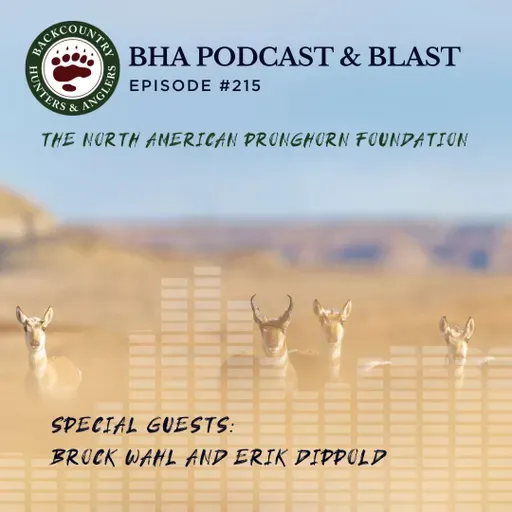 The North American Pronghorn Foundation