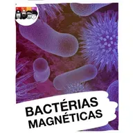 Pirulla errou? Bactérias multicelulares existem?