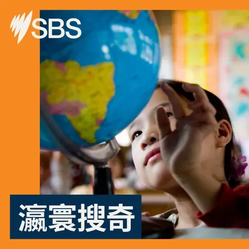 【瀛寰搜奇】罕有寵物小精靈卡天價賣出