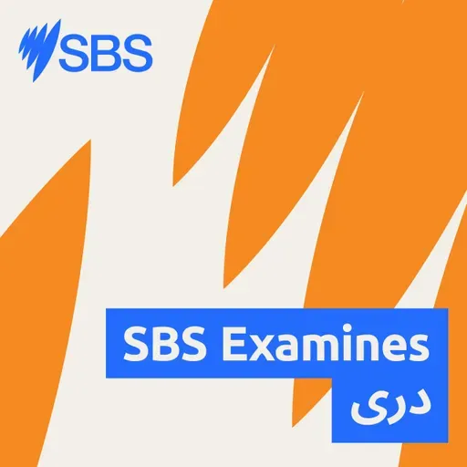 In a polarised and digital world, can grief unite us? - SBS EXAMINES: آیا غم واندوه می‌تواند ما را متحد سازد؟