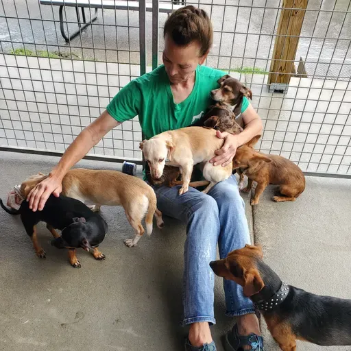 How to save an animal shelter: “If you care about something just do it”