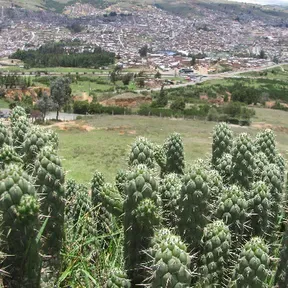 Cactus FM Tunja - New York Music Mix Time