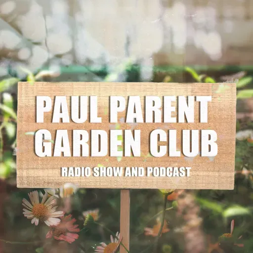 Ep. 199 Common Issues with Tomatoes, Peppers and Squash