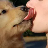  Zoonosis: La amenaza invisible que une animales y humanos