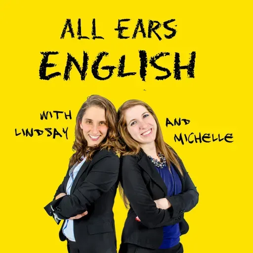 AEE: You Name It, We've Got It: How to Talk to a Shop Owner in English