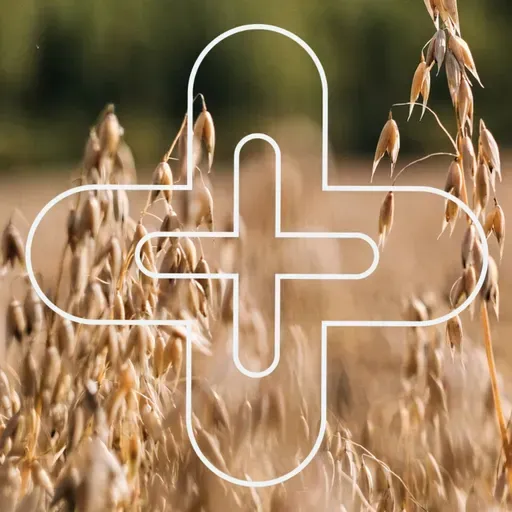 Naisen ja miehen palvelustehtävä 3/4 - Esa Hyvönen & co.