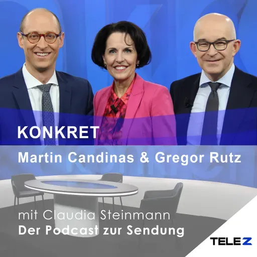 «Schafft weniger SRG wirklich mehr Raum für private Medien oder resultiert einfach weniger Angebot?»