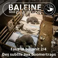 S07E89 Fake, IA et bullshit 2/4 : Des pièges à cons aux boomertraps (Sylvain Tillon)