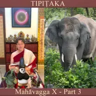 Buddhist Books: TIPIṬAKA 195 • Mahāvagga X - Part 3