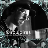 Ep. 17.1 – Vice Experience #2