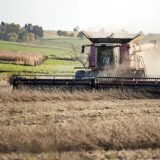 New farm bill, Boundary waters mining, Bird migration safety