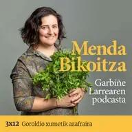 Menda Bikoitza 3x12: Goroldio xumetik azafraira