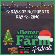 12 Days of Nutrients - Day 12: Zinc