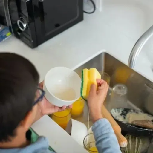 Afinal, quando trocar a esponja da cozinha? Lucy orienta!