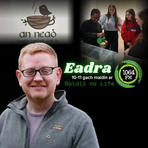 An Nead - Caifé Nua Gaelach i Muineacháin