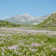 #117 Satsang sa SergiOM: Onkraj šuma uma